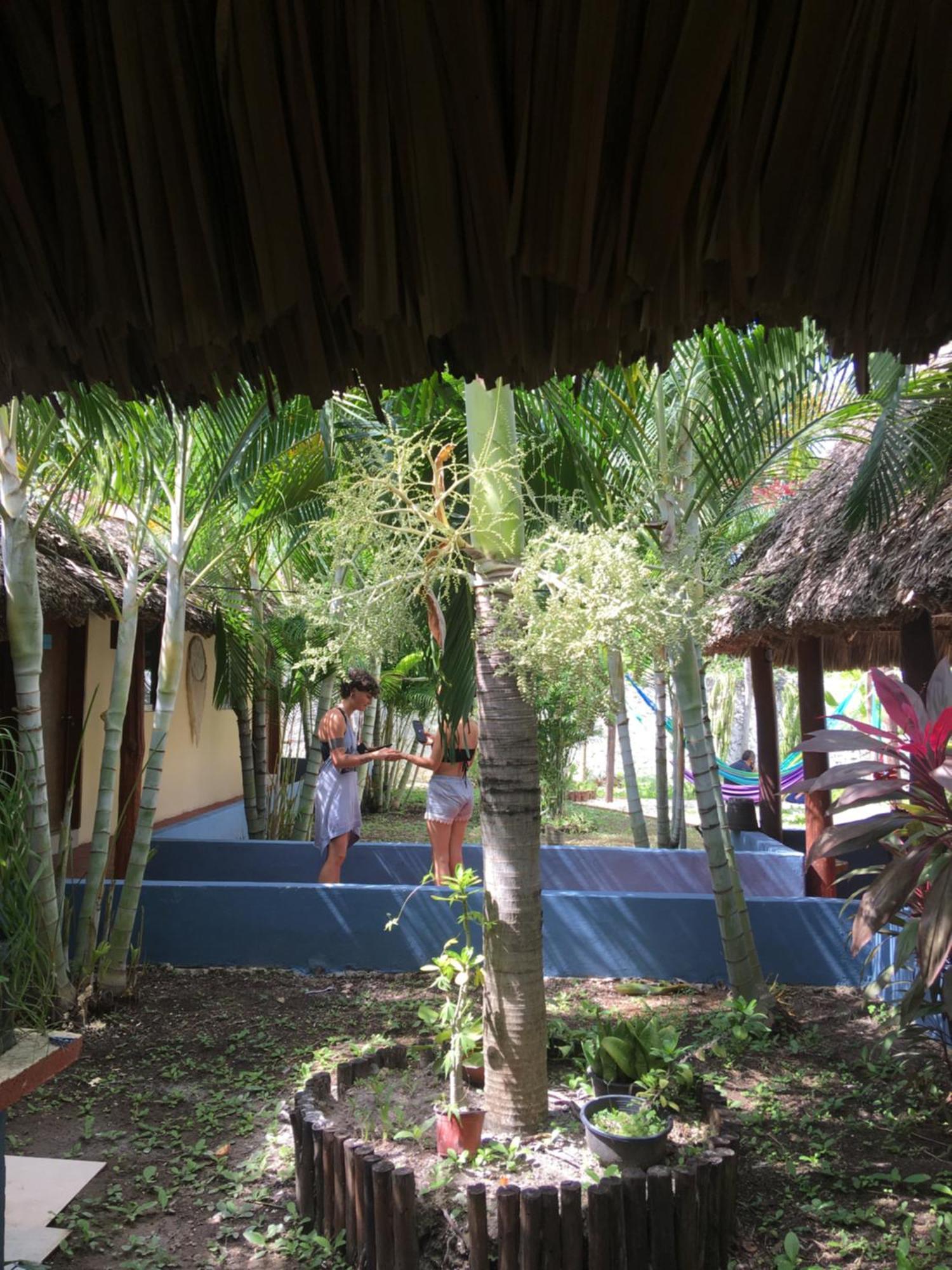 Hotel Casa Bokoba Bacalar Zewnętrze zdjęcie